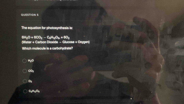 The equation for photosynthesis is:
6H_2O+6CO_2to C_6H_12O_6+6O_2
(Water + Carbon Dioxide → Glucose + Oxygen)
Which molecule is a carbohydrate?
H_2O
CO_2
O_2
C_0H_12O_8