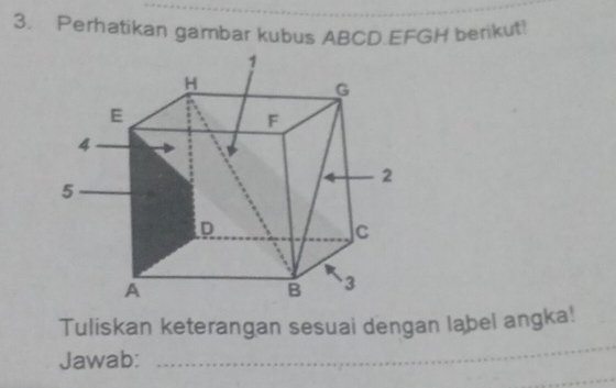 Perhatikan gambar kubus ABCD. EFGH berikut! 
_ 
Tuliskan keterangan sesuai dengan label angka! 
_ 
Jawab: