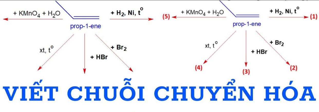 +H_2,Ni,t^0
(5) +KMnO_4+H_2O
+H_2,Ni,t°
(1)
prop-1-ene
+Br_2
xt, t°
+Br_2
xt,t°
+HB r
HBr
(4) (2)
(3)
viết chuỗi chuyển hóa