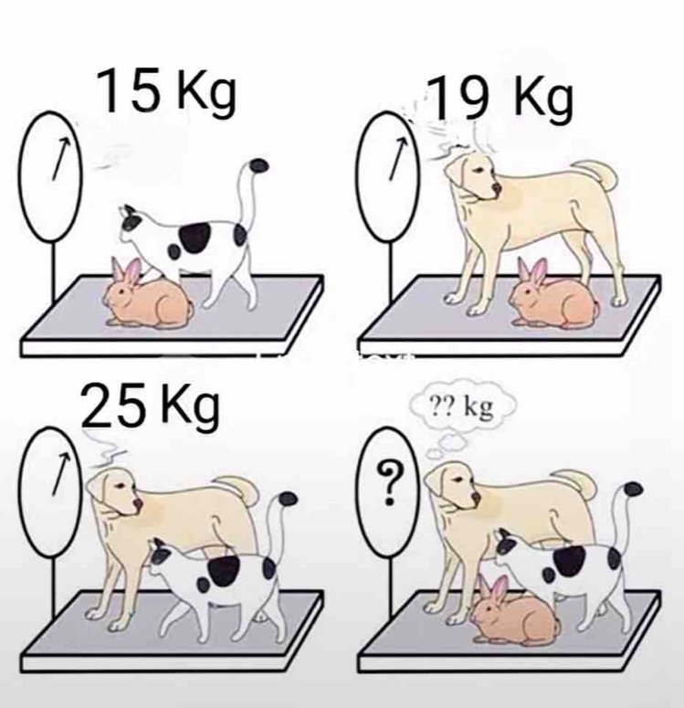 15 Kg
25 Kg ?? kg
a 
1 
?