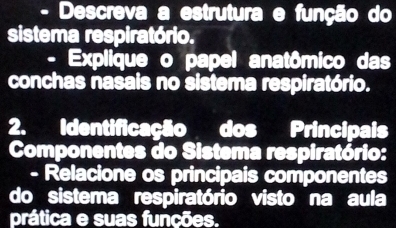 Descreva a estrutura e função do 
sistema respiratório. 
- Explique o papel anatômico das 
conchas nasais no sistema respiratório. 
2. Identificação dos Principais 
Componentes do Sistema respiratório: 
- Relacione os principais componentes 
do sistema respiratório visto na aula 
prática e suas funcões.