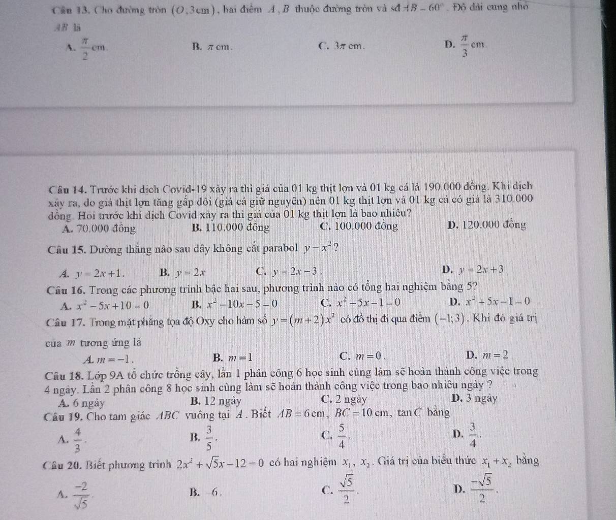Cho đường tròn (0,3cm) hai điểm A , B thuộc đường tròn vasdAB-60° Độ đài cung nhỏ
.4 8 la
A.  π /2 cm. B. π cm. C. 3π cm. D.  π /3 cm
Câu 14. Trước khi dịch Covid-19 xảy ra thì giá của 01 kg thịt lợn và 01 kg cá là 190.000 đồng. Khi dịch
xây ra, do giá thịt lợn tăng gấp đôi (giá cá giữ nguyên) nên 01 kg thịt lợn và 01 kg cả có giá là 310.000
dồng. Hoi trước khi dịch Covid xày ra thì giá của 01 kg thịt lợn là bao nhiêu?
A. 70,000 đồng B. 110,000 đồng C. 100.000 đồng D. 120.000 đồng
Câu 15. Dường thắng nào sau dây không cắt parabol y-x^2 ?
A. y=2x+1. B. y=2x C. y=2x-3. D. y=2x+3
Cầu 16. Trong các phương trình bậc hai sau, phương trình nào có tổng hai nghiệm bằng 5?
A. x^2-5x+10-0 B. x^2-10x-5-0 C. x^2-5x-1-0 D. x^2+5x-1-0
Câu 17. Trong mặt phẳng tọa độ Oxy cho hàm số y=(m+2)x^2 có đồ thị đi qua điểm (-1;3). Khi đó giá trị
của m tương ứng là
B.
A. m=-1. m=1 C. m=0. D. m=2
Câu 18. Lớp 9A tổ chức trồng cây, lần 1 phần công 6 học sinh cùng làm sẽ hoàn thành công việc trong
4 ngày. Lần 2 phân công 8 học sinh cùng làm sẽ hoàn thành công việc trong bao nhiêu ngày ?
A. 6 ngày B. 12 ngày C. 2 ngày D. 3 ngày
Câu 19. Cho tam giác ABC vuông tại A . Biết AB=6cm, BC'=10cm , tan C bằng
C.
D.
A.  4/3 ·   3/5 .  5/4 .  3/4 .
B.
Câu 20. Biết phương trình 2x^2+sqrt(5)x-12=0 có hai nghiệm x_1,x_2. Giá trị của biểu thức x_1+x_2 bằng
A.  (-2)/sqrt(5) .
B. −6 .
C.  sqrt(5)/2 .  (-sqrt(5))/2 .
D.