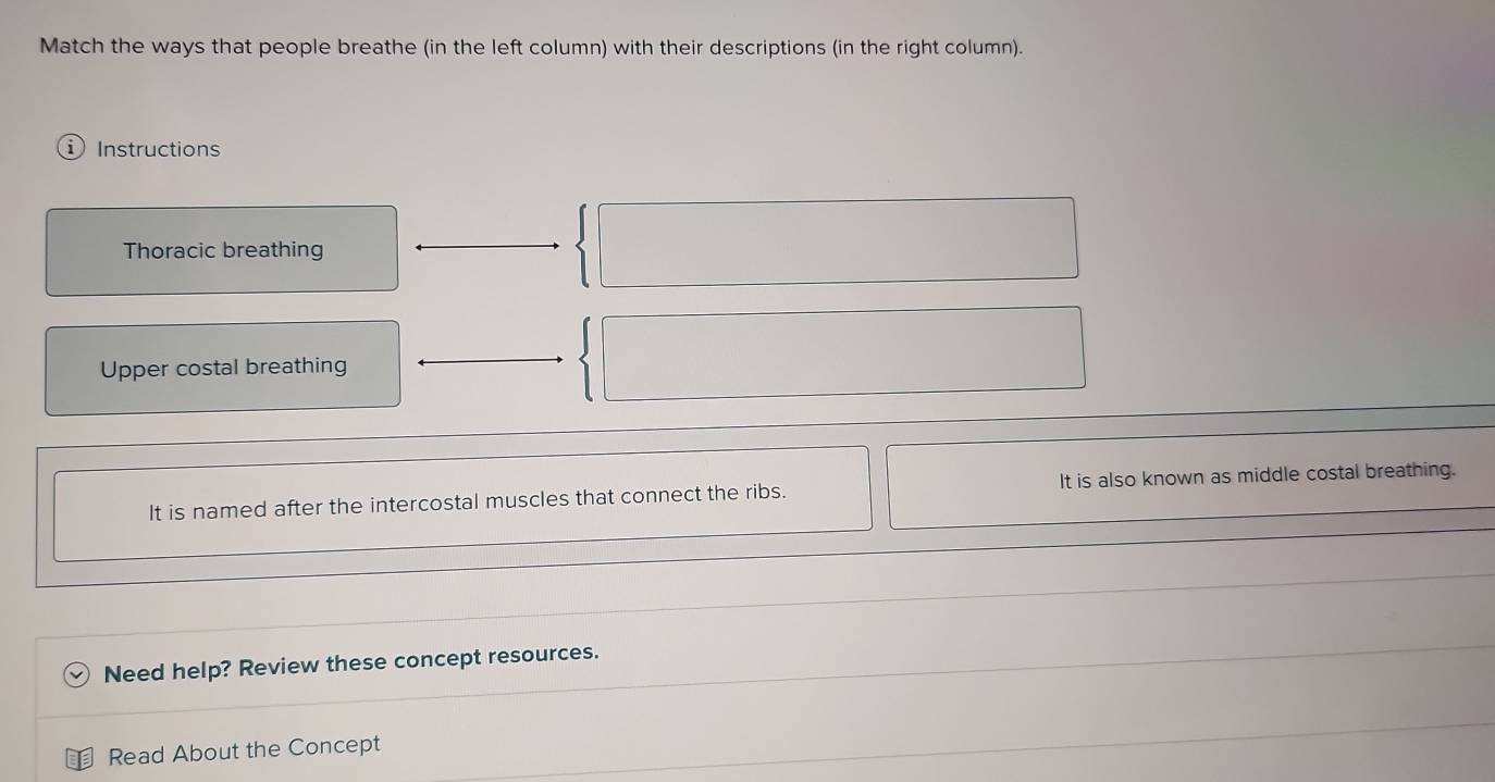Match the ways that people breathe (in the left column) with their descriptions (in the right column). 
Instructions 
Thoracic breathing 
Upper costal breathing 
It is named after the intercostal muscles that connect the ribs. It is also known as middle costal breathing. 
Need help? Review these concept resources. 
Read About the Concept