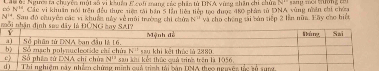 Cầu 6: Người ta chuyên một số vi khuân E.coli mang các phân tử DNA vùng nhân chi chứa N^(15) sang moi trưong ch 
có N^(14). Các vi khuẩn nói trên đều thực hiện tái bản 5 lần liên tiếp tạo được 480 phân tử DNA vùng nhân chỉ chứa
N^(14) Sau đó chuyền các vi khuẩn này về môi trường chỉ chứa N^(15) và cho chúng tải bản tiếp 2 lần nữa. Hãy cho biết
mỗi nhậ