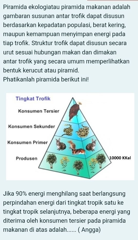 Piramida ekologiatau piramida makanan adalah 
gambaran susunan antar trofik dapat disusun 
berdasarkan kepadatan populasi, berat kering, 
maupun kemampuan menyimpan energi pada 
tiap trofik. Struktur trofik dapat disusun secara 
urut sesuai hubungan makan dan dimakan 
antar trofik yang secara umum memperlihatkan 
bentuk kerucut atau piramid. 
Phatikanlah piramida berikut ini! 
Jika 90% energi menghilang saat berlangsung 
perpindahan energi dari tingkat tropik satu ke 
tingkat tropik selanjutnya, beberapa energi yang 
diterima oleh konsumen tersier pada piramida 
makanan di atas adalah...... ( Angga)