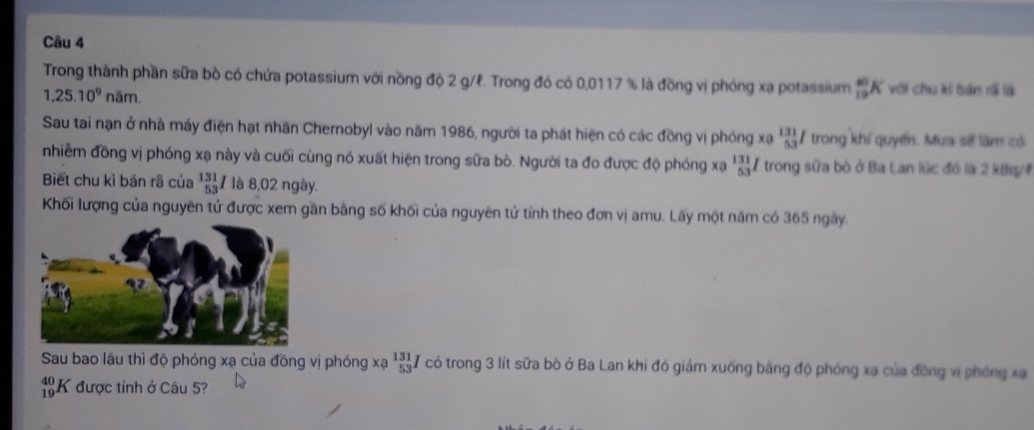 Trong thành phần sữa bò có chứa potassium với nồng độ 2 g/ℓ. Trong đó có 0,0117 % là đồng vị phóng xạ potassium _(19)^(40)K với chu ki bản rồ là
1,25.10^9nam. 
Sau tai nạn ở nhà máy điện hạt nhân Chernobyl vào năm 1986, người ta phát hiện có các đồng vị phóng xạ _(53)^(131)I trong khí quyển. Mưa sẽ làm có 
nhiễm đồng vị phóng xạ này và cuối cùng nó xuất hiện trong sữa bò. Người ta đo được độ phóng xạ  131/53  # trong sữa bò ở Ba Lan lúc đó là 2 kếq/ 
Biết chu kì bán rã của _(53)^(131)I là 8,02 ngày. 
Khối lượng của nguyên tử được xem gần bằng số khối của nguyên tử tính theo đơn vị amu. Lấy một năm có 365 ngày. 
Sau bao lâu thì độ phóng xạ của đồng vị phóng xạ _(53)^(131)I có trong 3 lít sữa bò ở Ba Lan khi đó giám xuống bằng độ phóng xạ của đồng vị phóng xạ
beginarrayr 40 19endarray K được tính ở Câu 5?