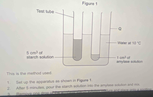 Figure 1
This is
1. Set up the apparatus as shown in Figure 1.
2. After 5 minutes, pour the starch solution into the amylase solution and mix.
3. Remove one drop of the amyi mixture and píace onto a spottin