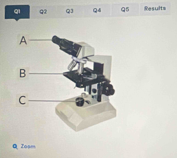 Q1 Q2 Q3 Q4 Q5 Results 
+ Zoom