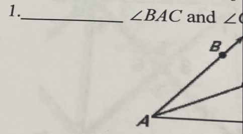 1._ ∠ BAC and ∠ (
B
A