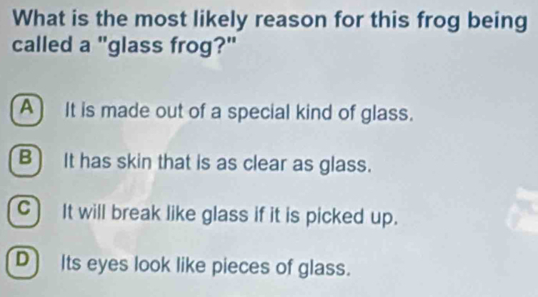 What is the most likely reason for this frog being
called a "glass frog?"
A] It is made out of a special kind of glass.
B) It has skin that is as clear as glass.
C) It will break like glass if it is picked up.
D) Its eyes look like pieces of glass.