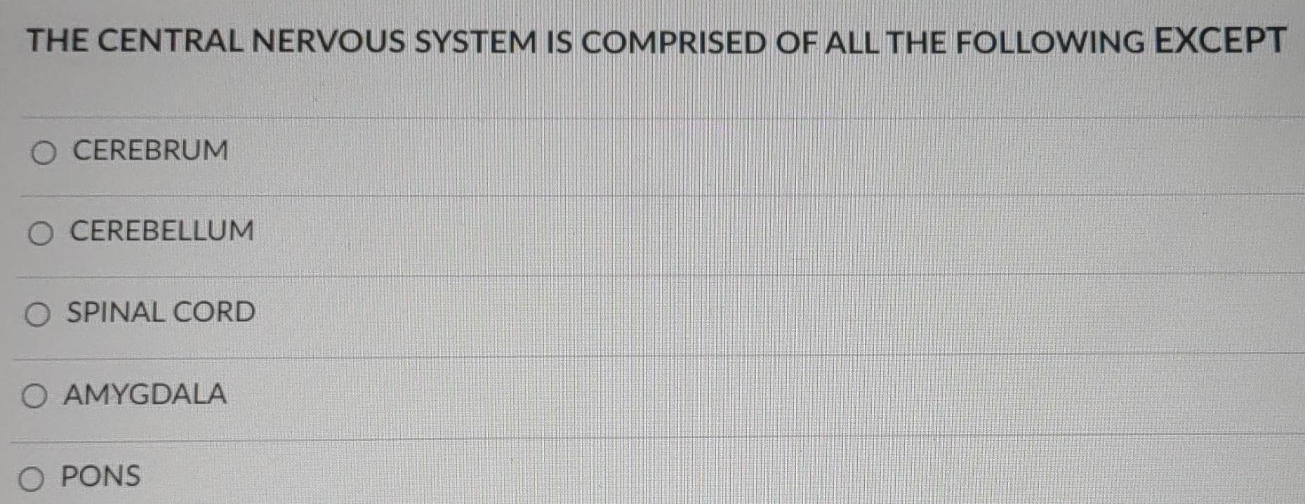 THE CENTRAL NERVOUS SYSTEM IS COMPRISED OF ALL THE FOLLOWING EXCEPT
CEREBRUM
CEREBELLUM
SPINAL CORD
AMYGDALA
pons