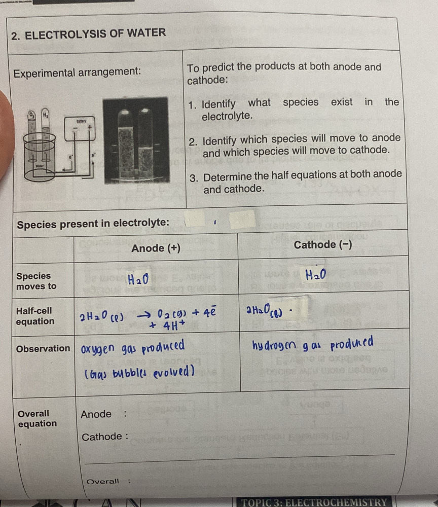 ELECTROLYSIS OF WATER 
Experimental arrangement: To predict the products at both anode and 
cathode: 
1. Identify what species exist in the 
electrolyte. 
2. Identify which species will move to anode 
and which species will move to cathode. 
3. Determine the half equations at both anode 
and cathode. 
Species present in electrolyte: 1 
Anode (+) Cathode (−) 
Species H_2O
moves to
H_2O
Half-cell 
U d ( 
equation 

Observation 
Overall Anode : 
equation 
Cathode : 
_ 
Overall : 
TOP 3EL