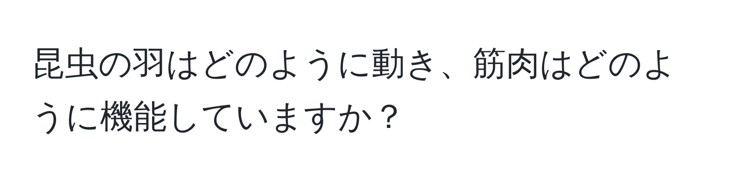 昆虫の羽はどのように動き、筋肉はどのように機能していますか？