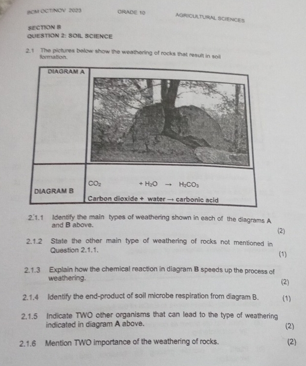 BCM OCT/NOV 2023 GRADE 10
AGRICULTURAL SCIENCES
SECTION B
QUESTION 2: SOIL SCIENCE
2.1 The pictures below show the weathering of rocks that result in soil
formation.
2.1.1 Identify the main types of weathering shown in each of the diagrams A
and B above. (2)
2.1.2 State the other main type of weathering of rocks not mentioned in
Question 2.1.1. (1)
2.1.3 Explain how the chemical reaction in diagram B speeds up the process of
weathering. (2)
2.1.4 Identify the end-product of soil microbe respiration from diagram B. (1)
2.1.5 Indicate TWO other organisms that can lead to the type of weathering
indicated in diagram A above.
(2)
2.1.6 Mention TWO importance of the weathering of rocks. (2)