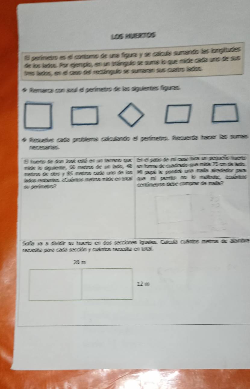 LOS AUERTOS 
El peímeiro es el contoro de una figura y se calcía surando las fongitudas 
de los lados. Por ejempio, en un triángulo se suma lo que mide cada uno de sus 
tras lados, en el caso del rectángulo se curaran sus custro fados. 
* Remarca con azul el perímeiro de las siguientas figues. 
Resuelve cata problera calculando el parímetro. Recuerda tracar las suras 
El huerto de don José está en un terrano que En el patio de mi casa hica un pequelño tuerio 
mide lo siguiente, 56 metros de un lado, 48 en forma de cuatrado que mide 75 cm de ladío 
metros de cbro y 85 metros cada uno de los Mi papó le pontró una mallía airetatior para 
lados restanes. «Quános metros mide en tota que mi paro nã ã metde, doenios 
ou petmetn? ceníímetros debe comprar de mala? 
Sofa na a dividir su huerio en dos secciones liguales. Calcula cuántos mebros de alambra 
necesta para cada sección y cuártos necesta en total.