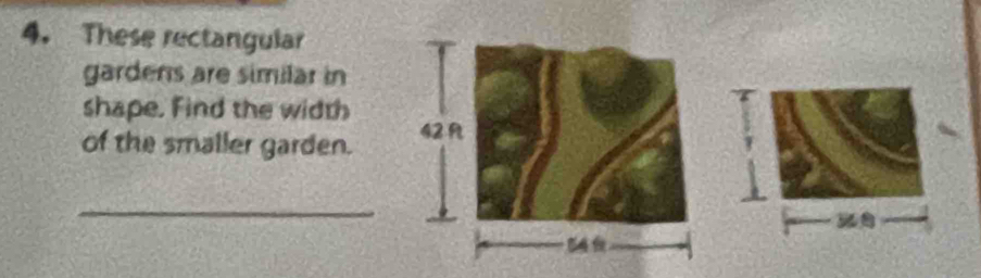 These rectangular 
gardens are similar in 
shape. Find the width 
of the smaller garden. 
_