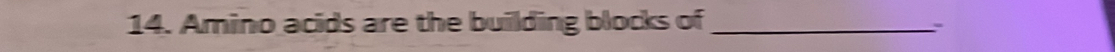 Amino acids are the building blocks of_