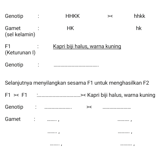 Genotip : HHKK < hhkk 
Gamet : HK hk 
(sel kelamin) 
F1 : Kapri biji halus, warna kuning 
(Keturunan I) 
Genotip :_ 
Selanjutnya menyilangkan sesama  F1 untuk menghasilkan F2
F1> _>< Kapri biji halus, warna kuning 
Genotip : _>