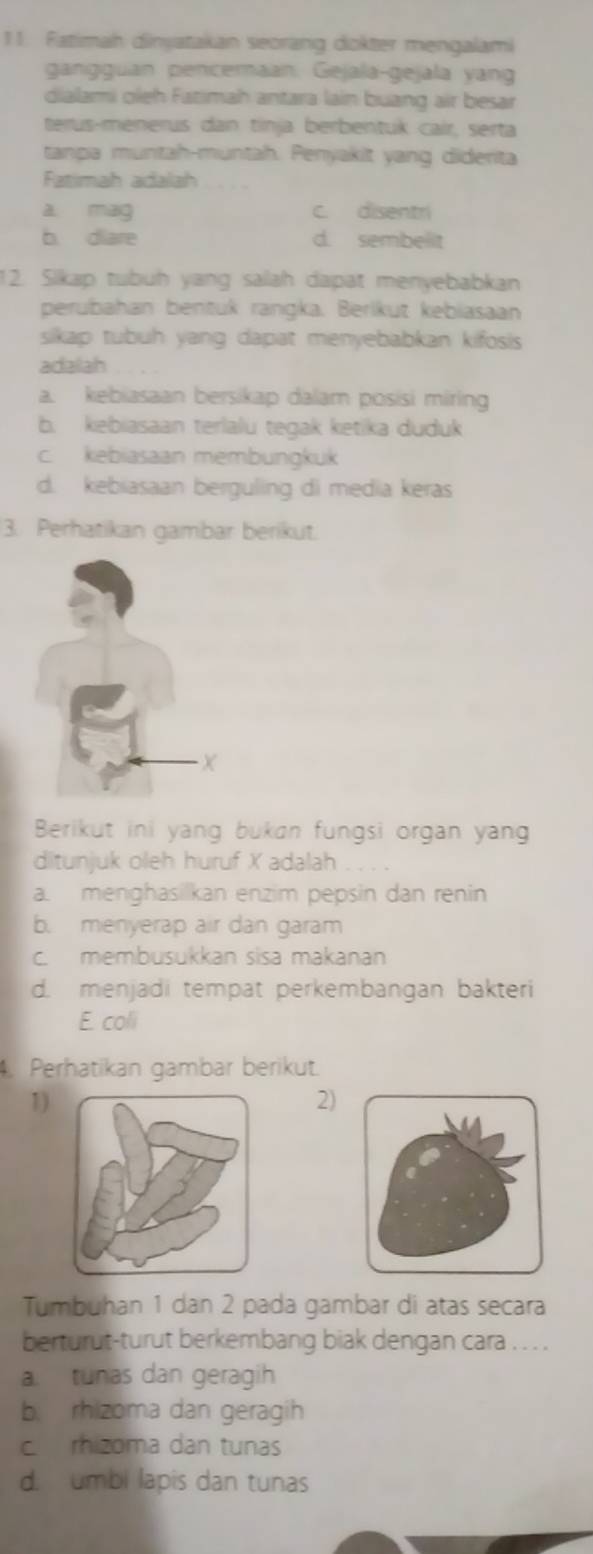 Fatimah dinyatakan seorang dokter mengalami
gangguan penceraan. Gejala-gejala yang
dialami oleh Fatimah antara lain buang air besar
terus-ménerus dan tinja berbentuk cair, serta
tanpa muntah-muntah. Penyakit yang diderita
Fatimah adalah
a mag c. disentri
b. diare d. sembelit
12. Sikap tubuh yang salah dapat menyebabkan
perubahan bentuk rangka. Berikut kebiasaan
sikap tubuh yang dapat menyebabkan kifosis 
adaiah
a. kebiasaan bersikap dalam posisi miring
b. kebiasaan terlalu tegak ketika duduk
c. kebiasaan membungkuk
d. kebiasaan berguling di media keras
3. Perhatikan gambar berikut.
Berikut ini yang bukan fungsi organ yan
ditunjuk oleh huruf X adalah
a. menghasilkan enzim pepsin dan renin
b. menyerap air dan garam
c. membusukkan sisa makanan
d. menjadi tempat perkembangan bakteri
E. coli
Perhatikan gambar berikut.
1)
2)
Tumbuhan 1 dan 2 pada gambar di atas secara
berturut-turut berkembang biak dengan cara . . . .
a. tunas dan geragih
b rhizoma dan geragih
c rhizoma dan tunas
d. umbi lapis dan tunas