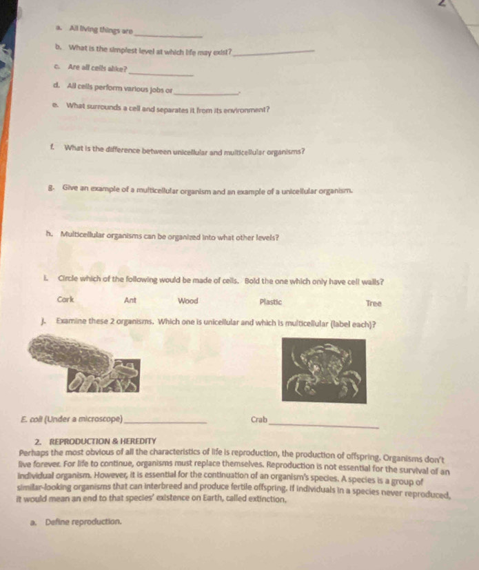 All living things are
_
b. What is the simplest level at which life may exist?_
_
c. Are all cells alike?
d. All cells perform various jobs or
_
e. What surrounds a cell and separates it from its environment?
f. What is the difference between unicellular and multicellular organisms?
g. Give an example of a multicellular organism and an example of a unicellular organism.
h. Multicellular organisms can be organized into what other levels?
i. Circle which of the following would be made of cells. Bold the one which only have cell walls?
Cark Ant Wood Plastic
Tree
). Examine these 2 organisms. Which one is unicellular and which is multicellular (label each)?
_
E. coll (Under a microscope)_ Crab
2. REPRODUCTION & HEREDITY
Perhaps the most obvious of all the characteristics of life is reproduction, the production of offspring. Organisms don't
live forever. For life to continue, organisms must replace themselves. Reproduction is not essential for the survival of an
Individual organism. However, it is essential for the continuation of an organism's species. A species is a group of
similar-looking organisms that can interbreed and produce fertile offspring. If individuals in a species never reproduced,
it would mean an end to that species' existence on Earth, called extinction,
a. Define reproduction.