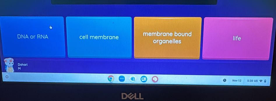 DNA or RNA cell membrane membrane bound
organelles life
Dahari
M
Nov 12 5:20 US