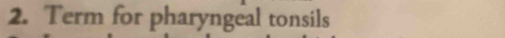 Term for pharyngeal tonsils