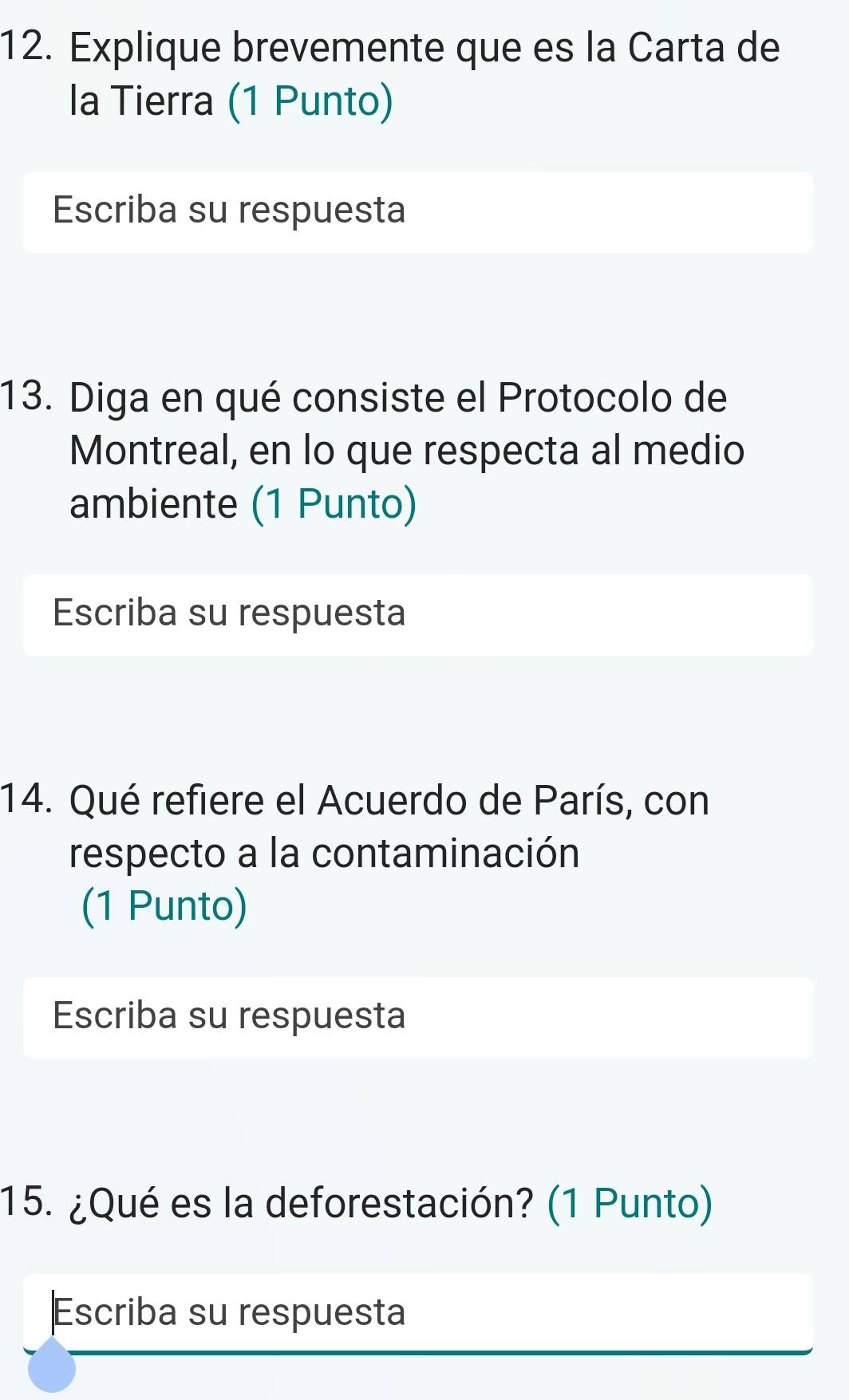 Explique brevemente que es la Carta de 
la Tierra (1 Punto) 
Escriba su respuesta 
13. Diga en qué consiste el Protocolo de 
Montreal, en lo que respecta al medio 
ambiente (1 Punto) 
Escriba su respuesta 
14. Qué refiere el Acuerdo de París, con 
respecto a la contaminación 
(1 Punto) 
Escriba su respuesta 
15. ¿Qué es la deforestación? (1 Punto) 
Escriba su respuesta