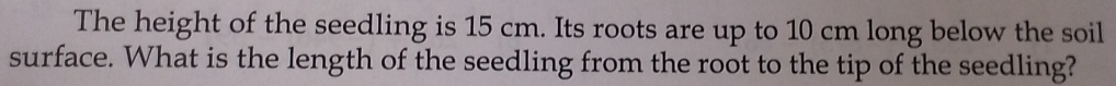 The height of the seedling is 15 cm. Its roots are up to 10 cm long below the soil 
surface. What is the length of the seedling from the root to the tip of the seedling?