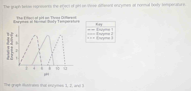 The graph below represents the eifect of pH on three different enzymes at normal body temperature.
Key
Enzyme 1
Enzyme 2
Enzyme 3
The graph illustrates that enzymes 1, 2, and 3