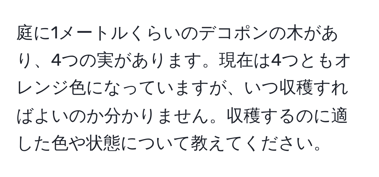 庭に1メートルくらいのデコポンの木があり、4つの実があります。現在は4つともオレンジ色になっていますが、いつ収穫すればよいのか分かりません。収穫するのに適した色や状態について教えてください。