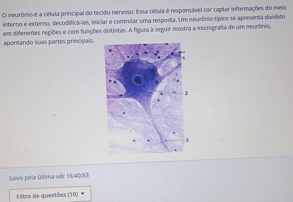 neurônio é a célula principal do tecido nervoso. Essa célula é responsável cor captar informações do meio 
interno e externo, decodificá-las, iniciar e controlar uma resposta. Um neurônio típico se apresenta dividido 
em diferentes regiões e com funções distintas. A figura à seguir mostra a micrografia de um neurônio, 
apontando suas partes principais. 
Salvo pela última véz 16:40:53
Filtro de questões (10)