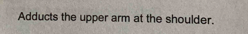 Adducts the upper arm at the shoulder.