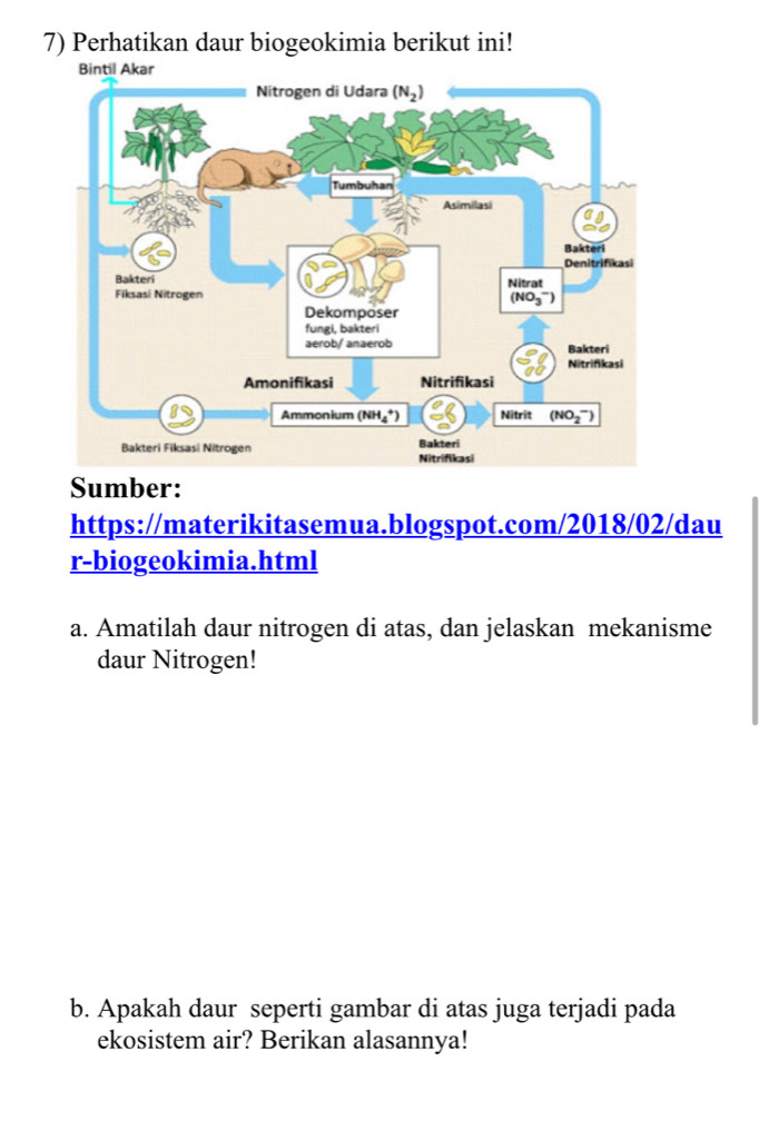 Perhatikan daur biogeokimia berikut ini!
Sumber:
https://materikitasemua.blogspot.com/2018/02/dau
r-biogeokimia.html
a. Amatilah daur nitrogen di atas, dan jelaskan mekanisme
daur Nitrogen!
b. Apakah daur seperti gambar di atas juga terjadi pada
ekosistem air? Berikan alasannya!