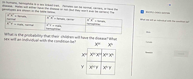 In humans, hemophilia is a sex linked trait. Females can be normal, carrers, or have the
disease. Males will either have the disease or not (but they won't ever be carrierMUITIPLE-CHOICE QUESTION
genotypes are shown in the table bel.What sex will an individual with the condition be?
Malo
e probability that their children will have the disease? What
sex will an individual with the condition be? X^H X^h Femalo
X^H X^HX^H X^HX^h Rewatich
y X^HY X^hy