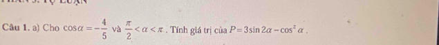 Cho cos alpha =- 4/5  và  π /2  . Tính giá trị ciaP=3sin 2alpha -cos^2alpha.