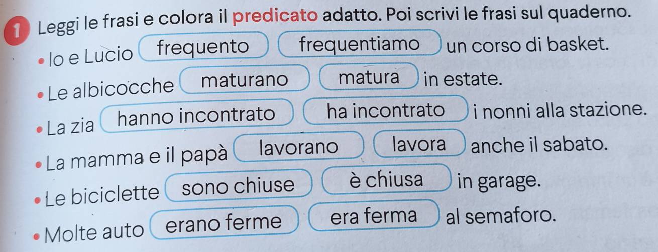 Leggi le frasi e colora il predicato adatto. Poi scrivi le frasi sul quaderno. 
lo e Lucio frequento frequentiamo un corso di basket. 
Le albicocche maturano matura in estate. 
La zia hanno incontrato ha incontrato i nonni alla stazione. 
La mamma e il papàá lavorano lavora anche il sabato. 
Le biciclette sono chiuse è chiusa in garage. 
Molte auto erano ferme era ferma al semaforo.