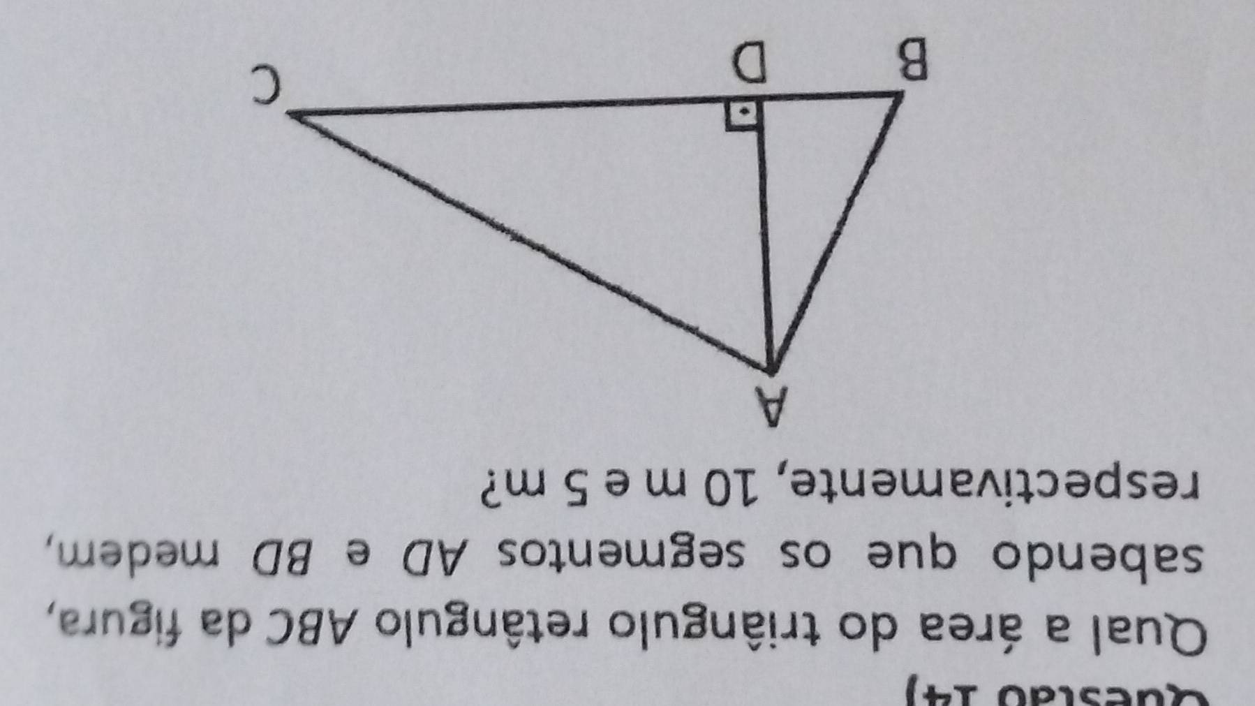 Questão 14) 
Qual a área do triângulo retângulo ABC da figura, 
sabendo que os segmentos AD e BD medem, 
respectivamente, 10 m e 5 m?