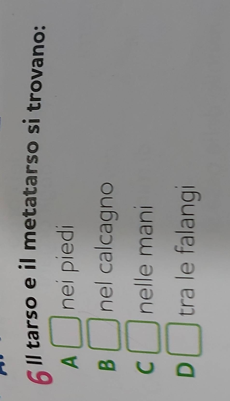 6l tarso e il metatarso si trovano:
A
nei piedi
B nel calcagno
C nelle mani
D tra le falangi