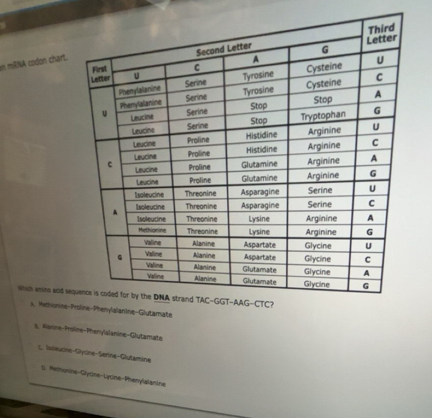Solved: mRNA codon chart. Which amino acid se A Methionine-amate B ...