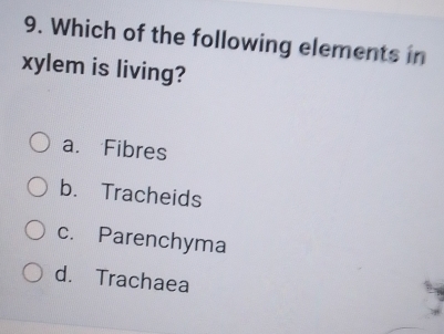 Which of the following elements in
xylem is living?
a. Fibres
b. Tracheids
c. Parenchyma
d. Trachaea