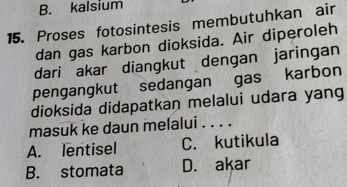 B. kalsium
15. Proses fotosintesis membutuhkan air
dan gas karbon dioksida. Air diperoleh
dari akar diangkut dengan jaringan
pengangkut sedangan gas karbon
dioksida didapatkan melalui udara yang
masuk ke daun melalui . . . .
A. lentisel C. kutikula
B. stomata D. akar