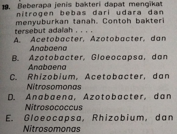 Beberapa jenis bakteri dapat mengikat
nitrogen bebas dari udara dan 
menyuburkan tanah. Contoh bakteri
tersebut adalah . . . .
A. Acetobacter, Azotobacter, dan
Anabaena
B. Azotobacter, Gloeocapsa, dan
Anabaena
C. Rhizobium, Acetobacter, dan
Nitrosomonas
D. Anabaena, Azotobacter, dan
Nitrosococcus
E. Gloeocapsa, Rhizobium, dan
Nitrosomonas