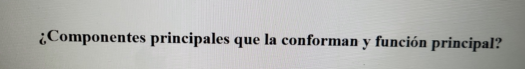 ¿Componentes principales que la conforman y función principal?