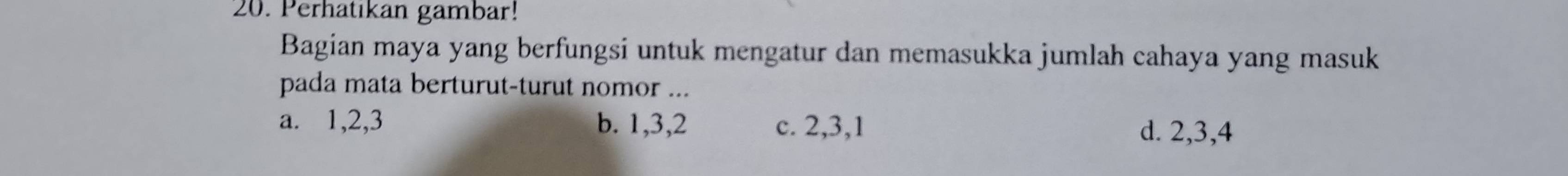 Perhatıkan gambar!
Bagian maya yang berfungsi untuk mengatur dan memasukka jumlah cahaya yang masuk
pada mata berturut-turut nomor ...
a. 1, 2, 3 b. 1, 3, 2 c. 2, 3, 1 d. 2, 3, 4