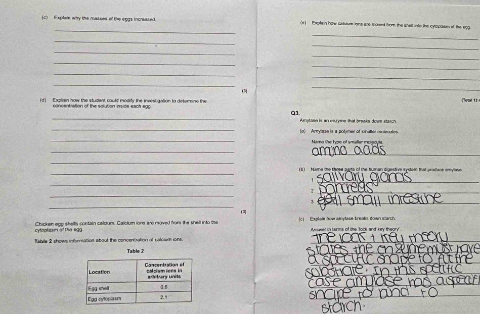 Explain why the masses of the eggs increased. (e) Explain how calcium ions are moved from the shell into the cytoptasm of the egg 
_ 
_ 
_ 
_ 
_ 
_ 
_ 
_ 
_ 
_ 
(3) 
_ 
(d) Explain how the student could modify the investigation to determine the (Tota! 12 
concentration of the solution inside each egg 
_ 
Q3. 
Amylase is an enzyme that breaks down starch. 
_ 
(a) Amylase is a polymer of smaller molecules 
_ 
Name the type of smaller molecule. 
_ 
_ 
_ 
_ 
(b) Name the three parts of the human digestive system that produce amylase 
_ 
_1 
_ 
_, 
_ 
_3 
(3) 
Chicken egg shells contain calcium. Calcium ions are moved from the shell into the (c) Explain how amylase breaks down starch. 
cytoplasm of the egg Answer in terms of the 'lock and key theory' 
Table 2 shows information about the concentration of calcium ions. 
_ 
Table 2 
_ 
_ 
_ 
_ 
_