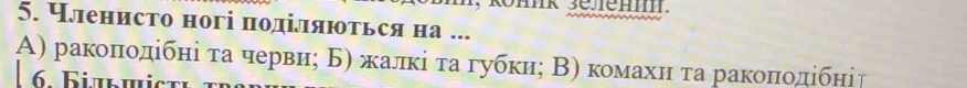 Членисто ногі πоділяються на ...
A) ракоποдίбні τа червиς Б) жалκίτа губκи; Β) комахнτа ракоποдίбні↑