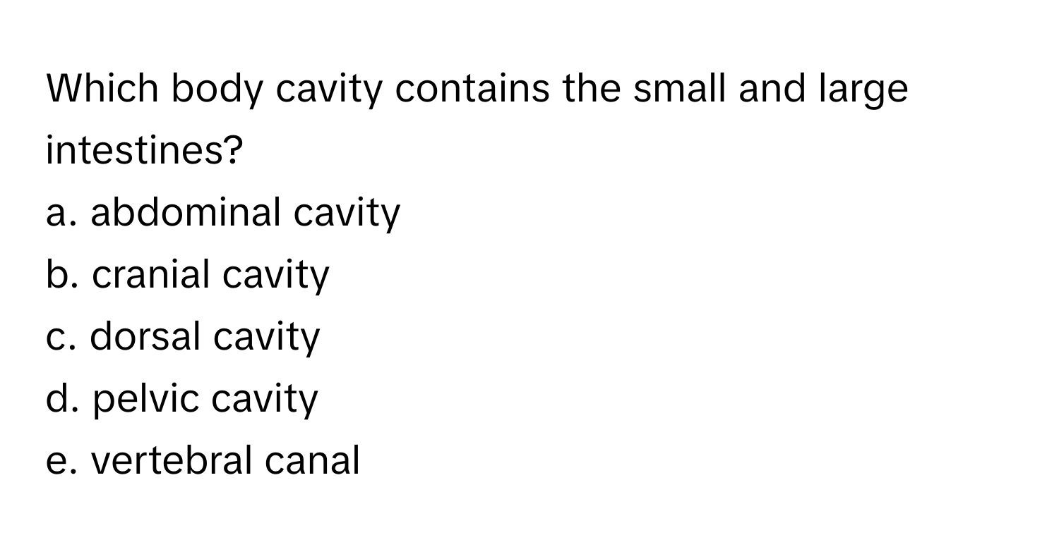 Which body cavity contains the small and large intestines? 
a. abdominal cavity
b. cranial cavity
c. dorsal cavity
d. pelvic cavity
e. vertebral canal