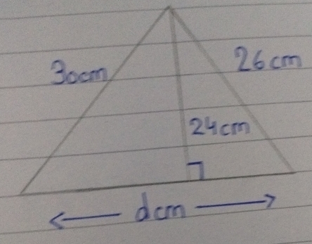 30cm
26cm
24cm
_dom