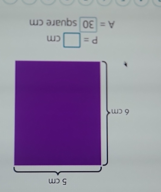 P=□ cm
A=30 square cm