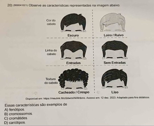 (800041021) Observe as características representadas na imagem abaixo.
Disponível em: https://meulink.fit/cQdwmriNiWnbino. Acesso em: 12 dez. 2023. Adaptado para fins didáticos.
Essas características são exemplos de
A) fenótipos.
B) cromossomos.
C) cromátides.
D) cariótipos.